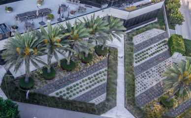 Obraz premium Palm trees at formal landscaped area