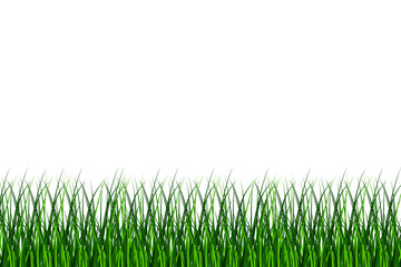 Fototapeta premium Green grass. Spring decoration. Seamless panorama. Ecology set. Vector illustration. stock image. 