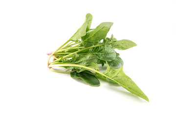 Baby spinach leaves isolated on white background