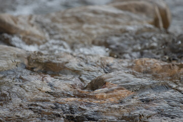 Creek levels surge in the Santa Monica Mountains after winter rains cause saturation in watersheds.