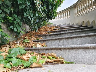 Obraz premium stairway to heaven