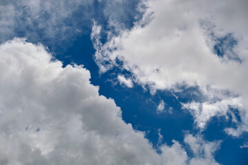 Naklejka na ściany i meble White puffy cumulus clouds on summer blue sky