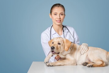 Fototapeta na wymiar Veterinary Clinic Advertisement Concept. Happy Female Nurse In Uniform Posing With Dog