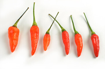 Chilli peppers red and hot on white background