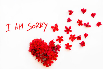 Fototapeta na wymiar i am sorry message card handwriting with red flowers arrangement hearts postcard style on background white 