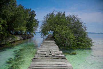 wooden bridge in the forest