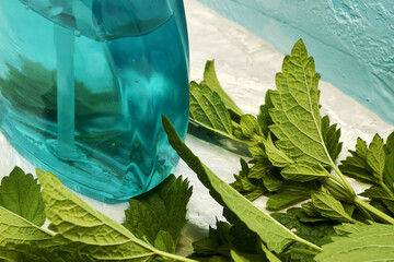 melissa leaves and a bottle of liquid soap on a blue surface with a copy space