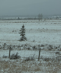 Winter landscape in Banff National Park Canada