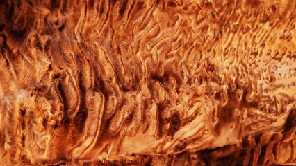 Beautiful abstract close-up brown fur background texture