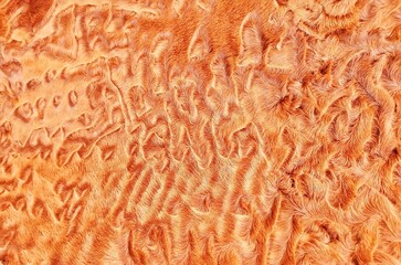 Beautiful abstract close-up brown fur background texture