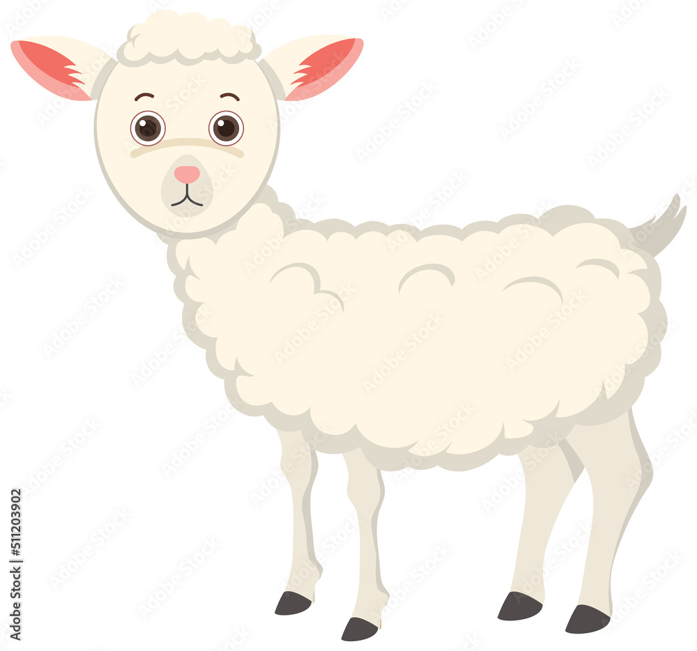 Sticker Cute sheep in flat cartoon style