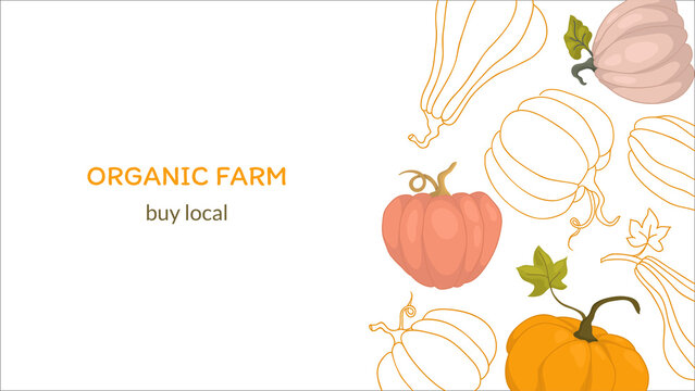 Banner organic products. Farm products, harvest day