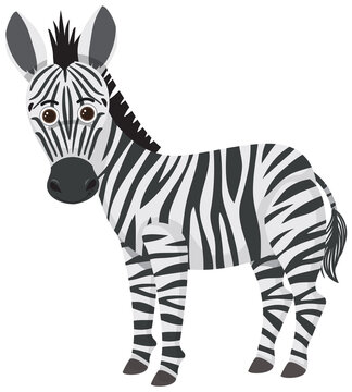Cute zebra in flat cartoon style