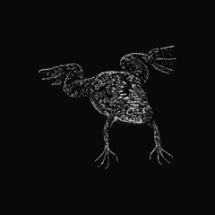 Obraz premium African Clawed Frog hand drawing vector illustration isolated on black background