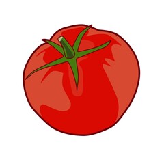 red tomato fruit illustration vector design