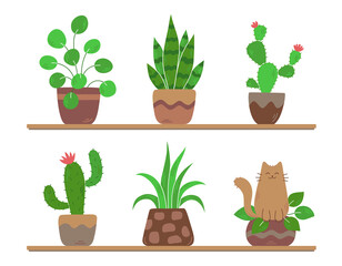 Set of houseplants in pots and cute cat. Shelves with green plants. Cacti and flowers. Funny pet in a flower pot. Home garden. Hand drawn cartoon flat Vector illustration. Isolated on white background