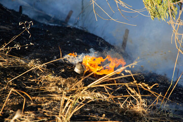 grass fire during fire season