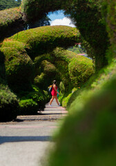 person walking in the park