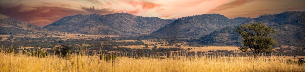 Beautiful landscape of the African savannah of South Africa under a beautiful and typical African...