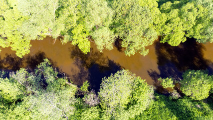 a bird's-eye view of a small river, which is located on a green floodplain meadow. a winding little river with trees on the shore, surrounded by green fields of meadows on a sunny summer day