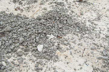 Pumice stones on the beach in Kume island from the eruption in Ogasawara