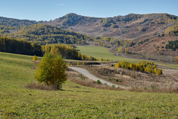 Fototapeta na wymiar Altai mountains in autumn