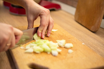 Obraz na płótnie Canvas slicing onion on cut board