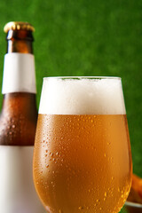 Bottle and glass of beer on the green grass background.