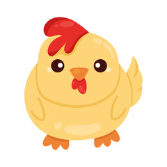 cute chick farm animal