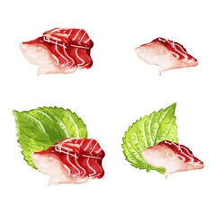 手描き水彩のイサキ刺身イラストセット