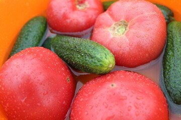 fresh vegetables tomatoes and cucumbers in water