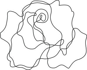 Rose flower outline vector. Set of hand drawn sketches. Line Ink drawing. Eps 10
