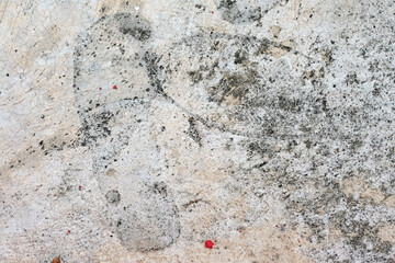 abstract form and texture on the floor