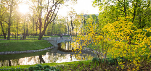 Obraz premium Selective focus.Summer canal pond landscape in Saint Petersburg, Russia.