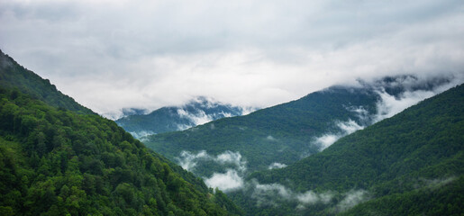 Naklejka na ściany i meble Selective focus. Spring morning at mountains and clouds. Atmospheric landscape with trees and low clouds on cloudy sky. Awesome mountain scenery.