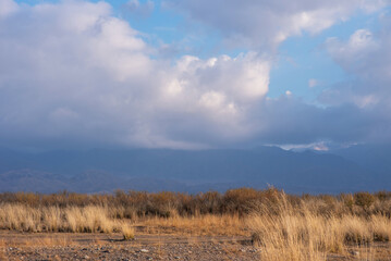 Selective focus. A beautiful autumn landscape of arid desert area with tall, sun-scorched grass and bushes against the backdrop of a mountain range. Dramatic sky, clouds hanging over the mountains.