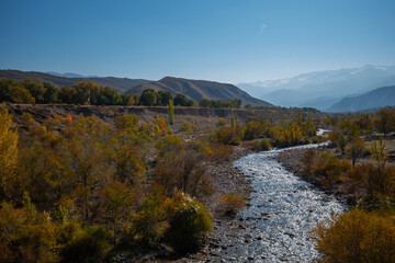 Amazing landscape of a mountain valley with a small river with a turbulent stream and colorful autumn trees. Beautiful autumn nature in the foothills  Snow-capped peaks in the distance. Pamir, Asia.