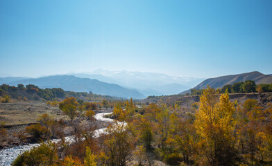 Amazing landscape of a mountain valley with a small river with a turbulent stream and colorful autumn trees. Beautiful autumn nature in the foothills Snow-capped peaks in the distance. Pamir, Asia.