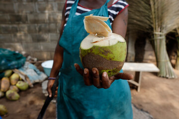 Woman selling coconuts in Lome, Togo. 25.02.2015