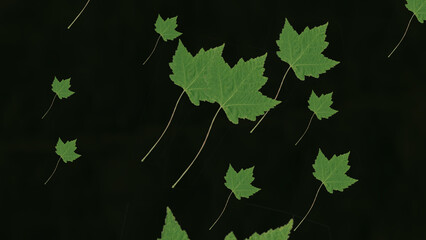 Abstract large green maple leaves, enlarged several times under the influence of the wind, randomly...