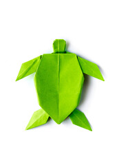 Green paper turtle origami isolated on a white background