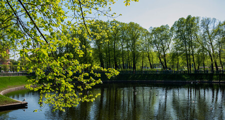 Summer park garden pond landscape in St Petersburg, Russia