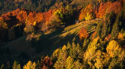 Autumn under the mountains of Julian Alps