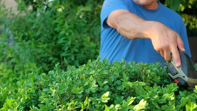 Hands of caucasian gardener clipping the bushes with cordless rechargeable shrub cutter in the summer garden, closeup view, slow-motion