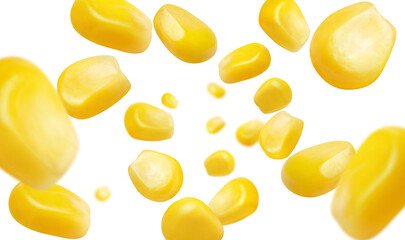 Flying corn seeds, isolated on white background