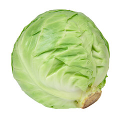 Fototapeta premium Green natural cabbage head isolated on the white background