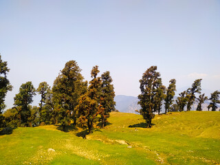 A amazing view of trees in the mountains' with sky