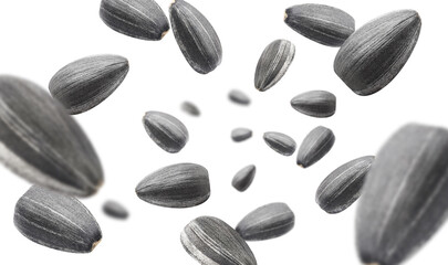 Black sunflower seeds, isolated on white background