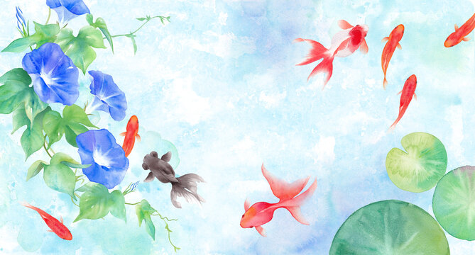 金魚 の画像 108 866 件の Stock 写真 ベクターおよびビデオ Adobe Stock