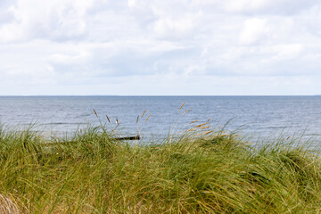 Fototapeta na wymiar The view over the dunes to the Baltic Sea in the small seaside resort of Zempin